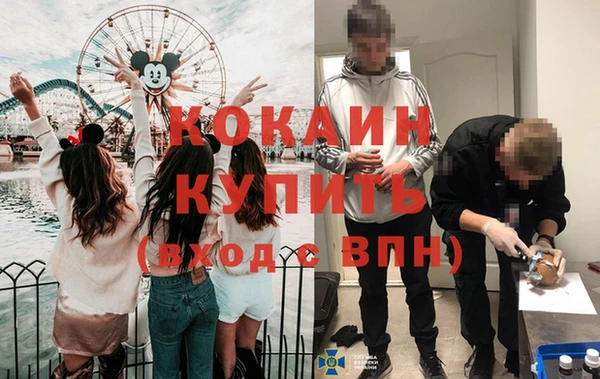 молекула духа Володарск
