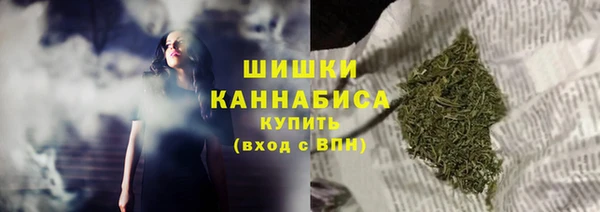 крисы Вязьма