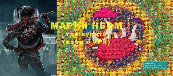 apvp Горняк