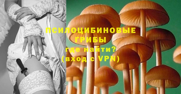 бутират Горно-Алтайск