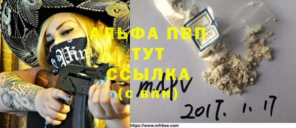 apvp Горняк