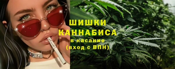 индика Волосово