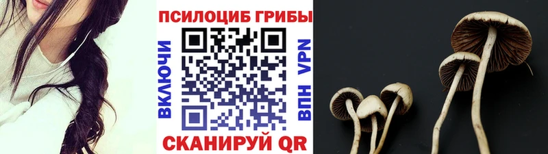 купить наркотик  Зеленоградск  Псилоцибиновые грибы мухоморы 